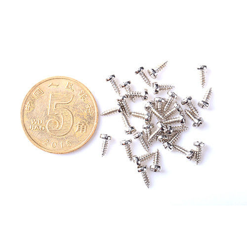 Polishing Coating Precision Micro Screw Self-Tapping Screw Utilizzo per fotocamera a basso prezzo
