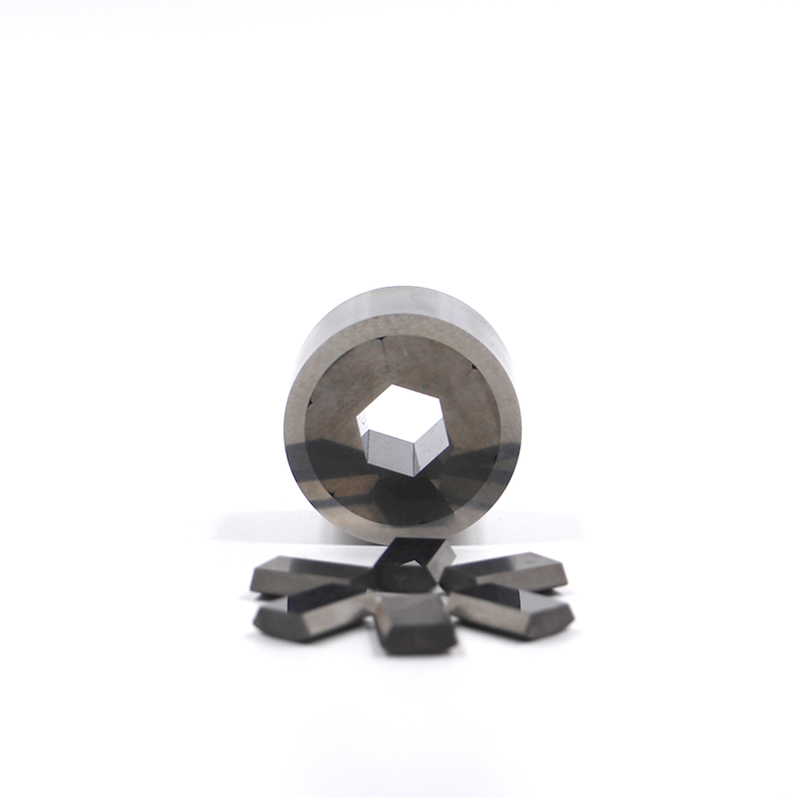 Segmentato Hex Die Abbigliamento resistente alla stanchezza termica per acciaio inossidabile al carbonio Cold Hot Forging Moduli sostituibili Facile manutenzione