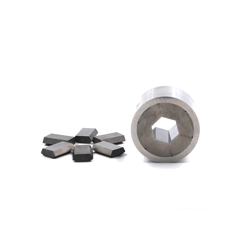 Segmentato Hex Die Abbigliamento resistente alla stanchezza termica per acciaio inossidabile al carbonio Cold Hot Forging Moduli sostituibili Facile manutenzione